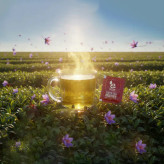پودر عصاره چای سبز زعفرانی الن بیوتی بسته ۳۰ عددی